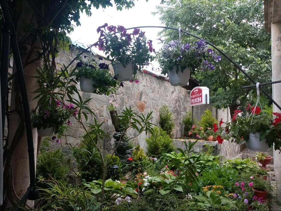 Pancho Family Hotel Kranewo Zewnętrze zdjęcie